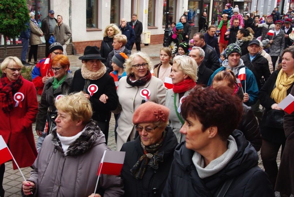 Biało-czerwona parada niepodległościowa  - 11.11.2015