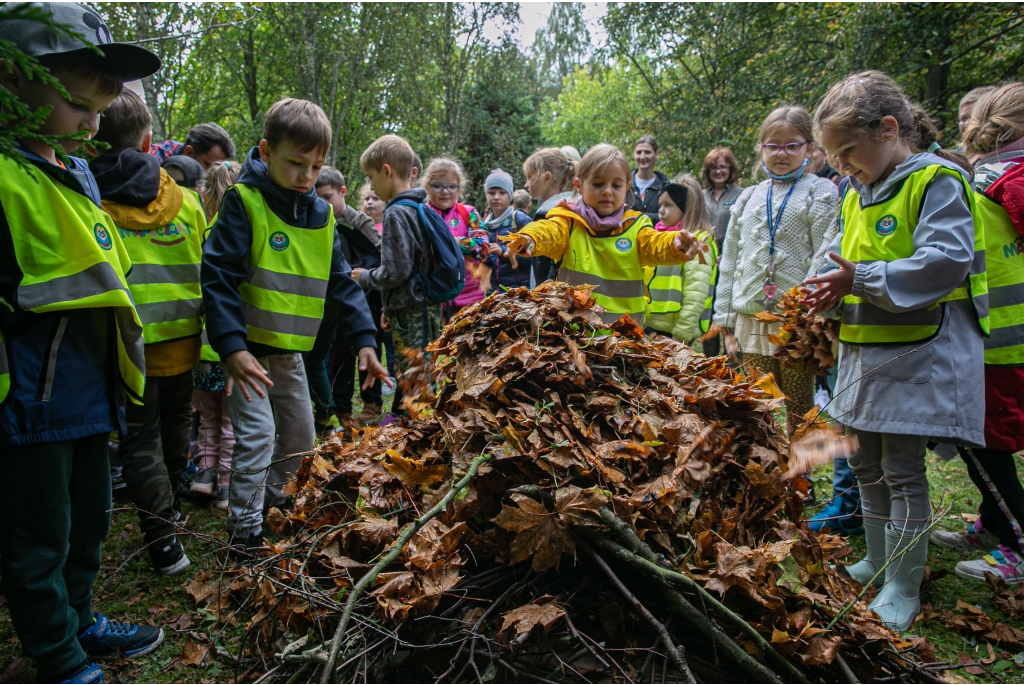 Podsumowanie akcji KLIMATycznie w Wejherowie