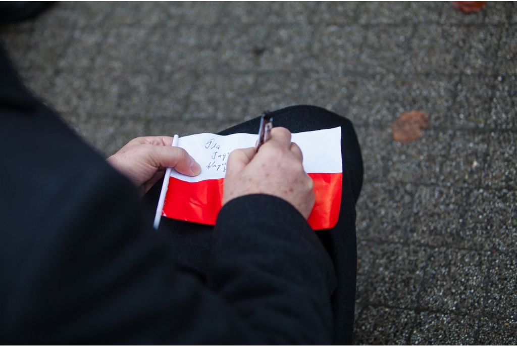 Biało-czerwona parada niepodległościowa  - 11.11.2015
