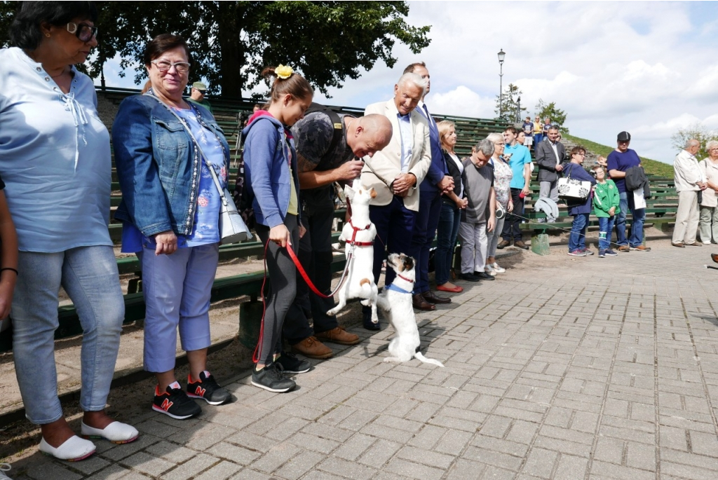 Spotkanie właścicieli zwierząt