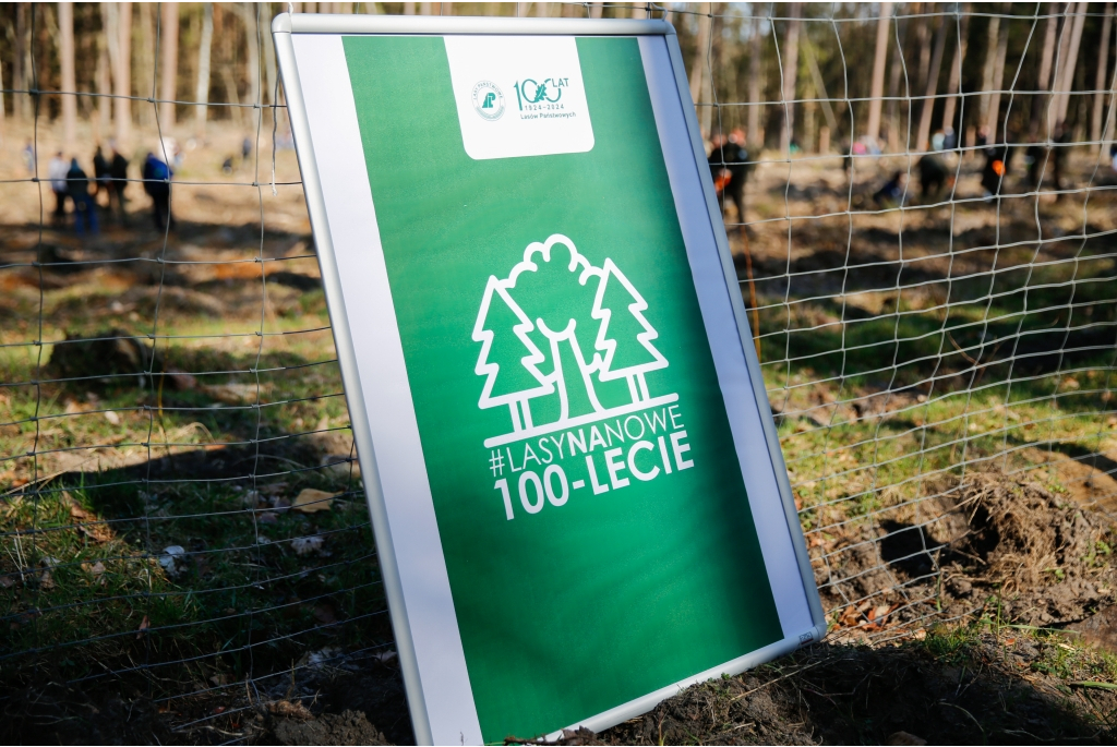 Akcja - Lasy na nowe 100-lecie