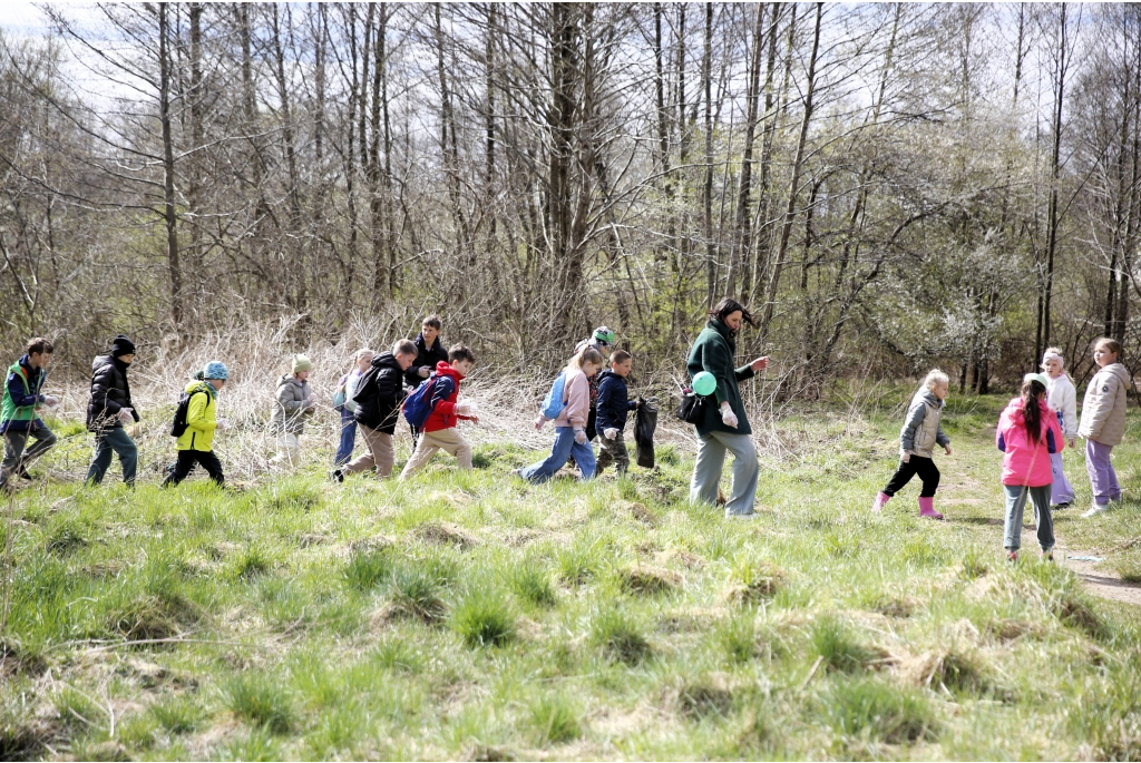 Akcja Ratujmy Żaby SP 5