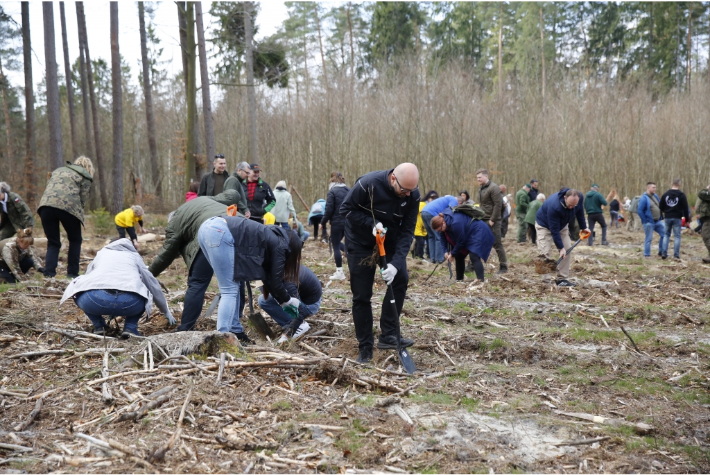 Sadzenie lasów z Nadleśnictwem Wejherowo