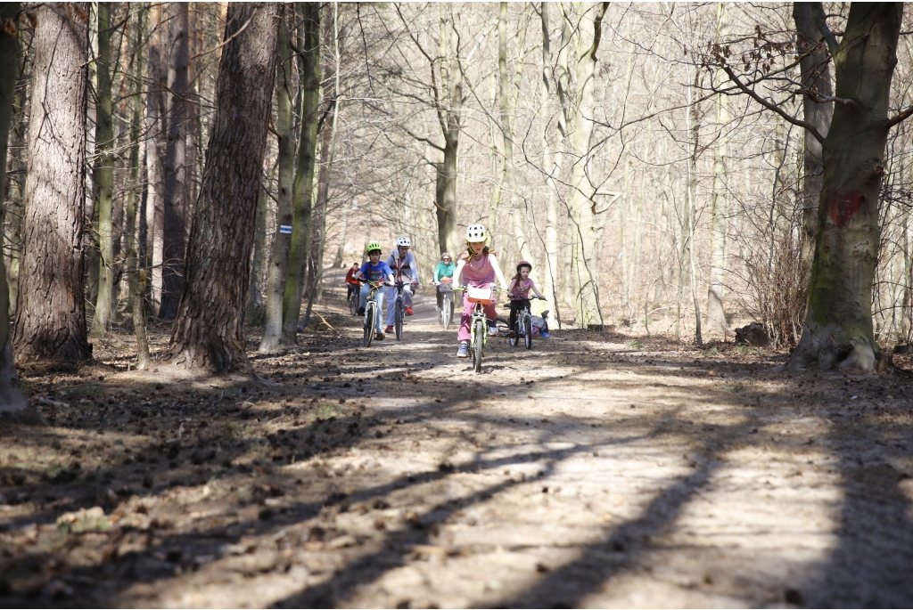Leśny Trening Rowerowy