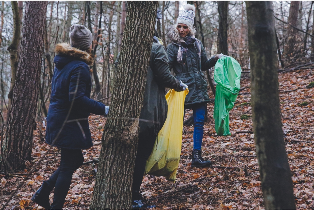 Miasto włączyło się do akcji Forest Challenge