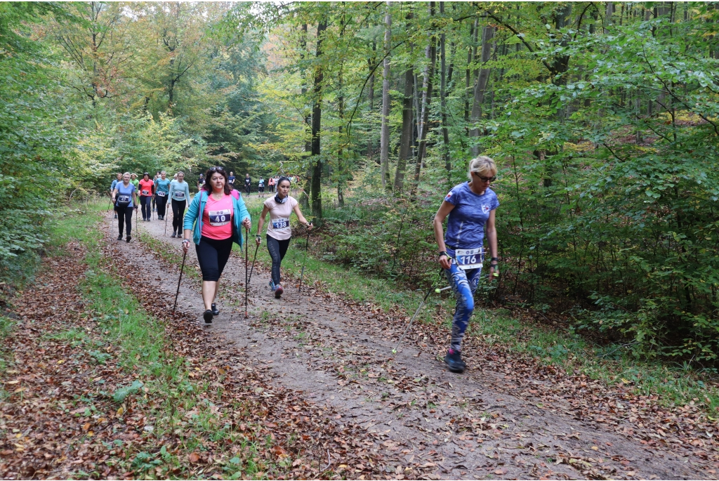 Wejherowo stolicą europejskiego nordic walkingu