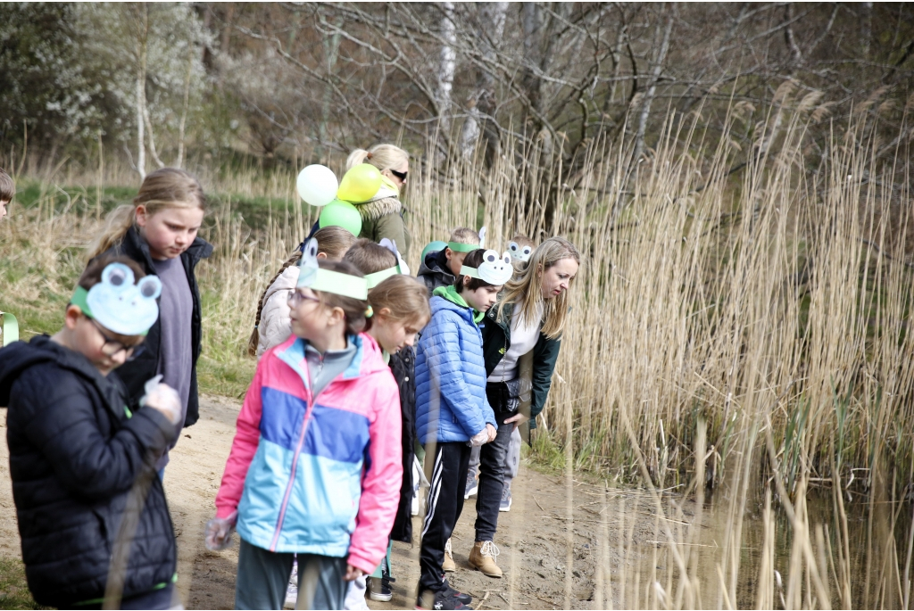 Akcja Ratujmy Żaby SP 5