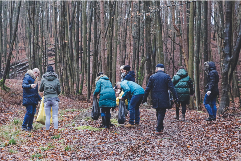 Miasto włączyło się do akcji Forest Challenge