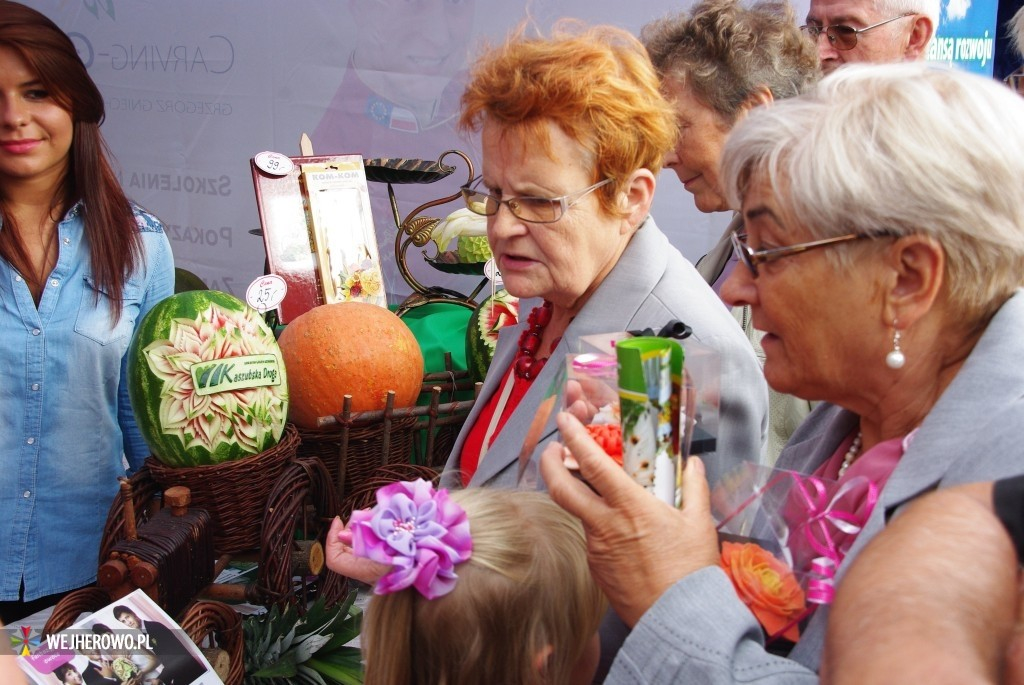 Piknik Historyczny w Parku Miejskim - 17.08.2014