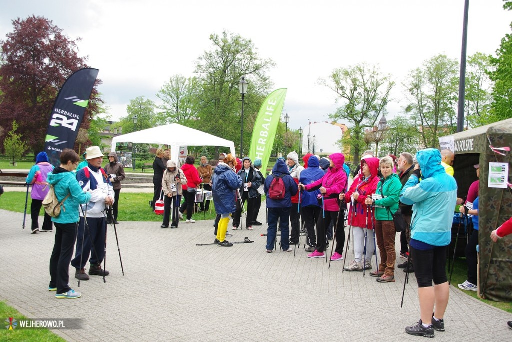 Rajd Nordic Walking w parku - 10.05.2014