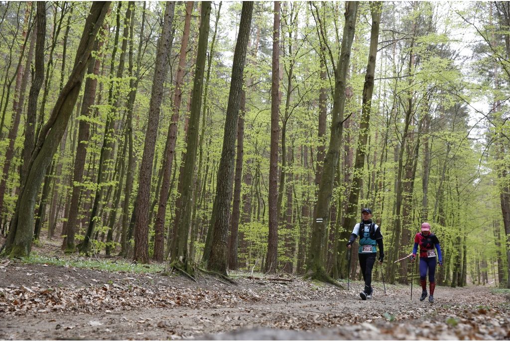 XV Mistrzostwa Polski Nordic Walking