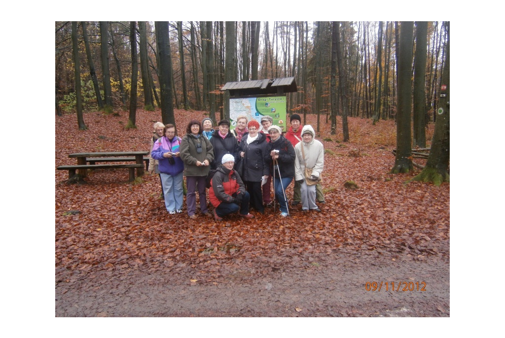 Lesoki - wycieczka - 9.11.2012