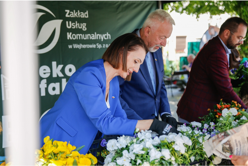 Przygarnij bratka na Placu Jakuba Wejhera