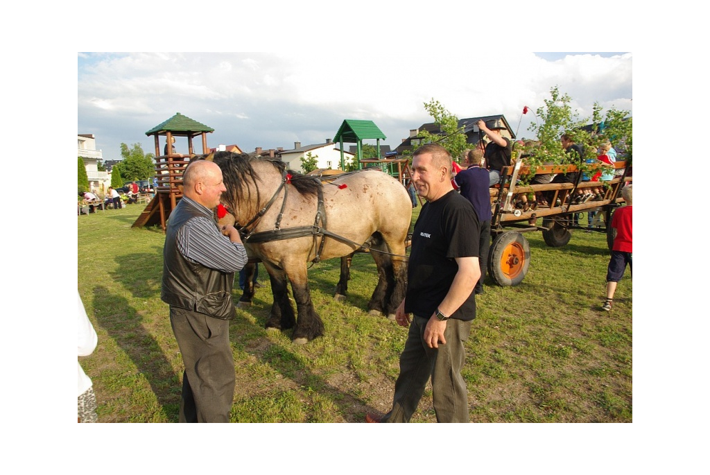 Sobotki na wejherowskich osiedlach - 23.06.2012