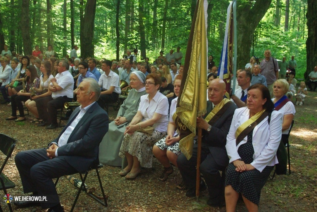 Odpust Uzdrowienia Chorych w Wejherowie - 06.07.2014