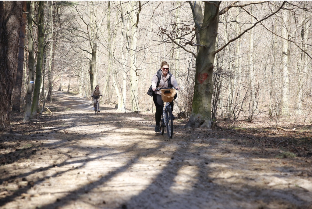 Leśny Trening Rowerowy