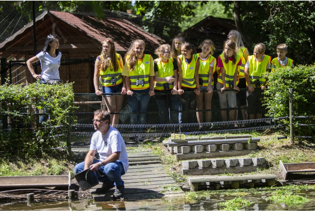 Spacer edukacyjny w Parku Miejskim