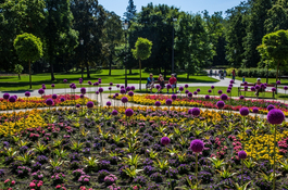 Wzrost zainteresowania wejherowskim parkiem
