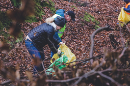 Miasto włączyło się do akcji Forest Challenge