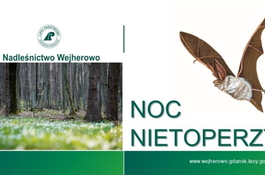 KLIMATycznie w Wejherowie. Noc Nietoperzy – zajęcia w ośrodku MUZA