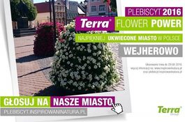 Wejherowo walczy w plebiscycie na „Najpiękniej ukwiecone miasto”