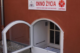 Sprzeciw przeciwko likwidacji „Okien Życia”