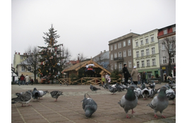 Szopka na wejherowskim rynku 