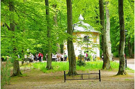 Biegi po schodach Kalwarii 