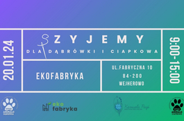 Zbiórka dla schronisk Dąbrówka i Ciapkowo