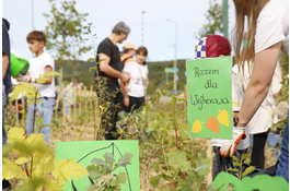 W okolicach Węzła Zryw powstał mikrolas
