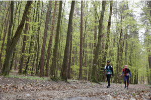 XV Mistrzostwa Polski Nordic Walking