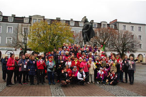 II Niepodległościowy Marsz Nordic Walking - 11.11.2015