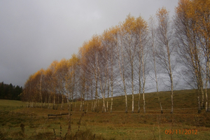 Lesoki - wycieczka - 9.11.2012