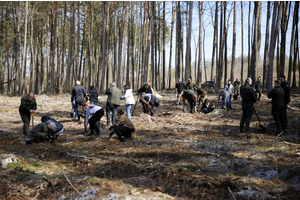 Sadzenie lasów z Nadleśnictwem Wejherowo