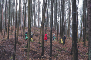 Miasto włączyło się do akcji Forest Challenge