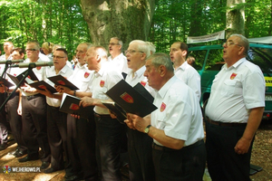 Odpust Uzdrowienia Chorych w Wejherowie - 06.07.2014