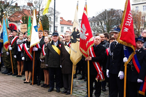 Biało-czerwona parada niepodległościowa  - 11.11.2015