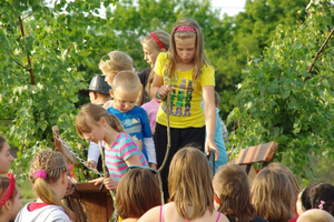 Sobotki na wejherowskich osiedlach - 23.06.2012