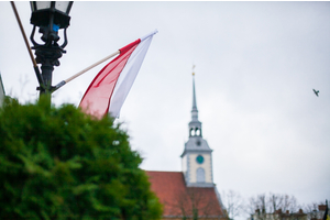 Biało-czerwona parada niepodległościowa  - 11.11.2015