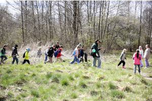 Akcja Ratujmy Żaby SP 5