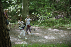Jakubowy Marsz Nordic Walking