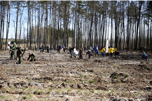Sadzenie lasów z Nadleśnictwem Wejherowo