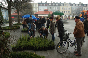 Udana akcja dziennikarzy, leśników i urzędników - 21.04.2012