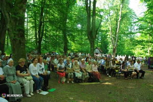 Odpust Uzdrowienia Chorych w Wejherowie - 06.07.2014