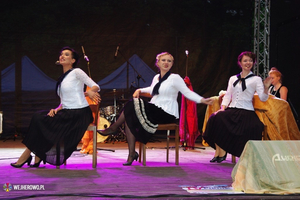 Piknik Historyczny w Parku Miejskim - 17.08.2014