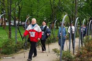 Rajd Nordic Walking w parku - 10.05.2014