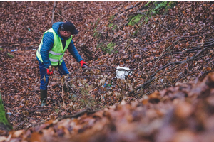 Miasto włączyło się do akcji Forest Challenge