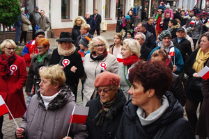 Biało-czerwona parada niepodległościowa  - 11.11.2015