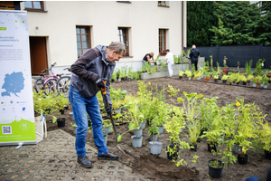 Realizacja pilotażu w ramach Projektu CONE