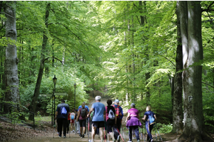 Jakubowy Marsz Nordic Walking